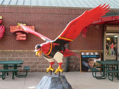 A Guide to the Amazing Wildlife at Magical Wings in Rochester, NY